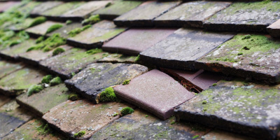 Little Baddow roof repair costs